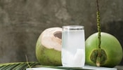 उन्हाळ्यात नारळ पाणी पिणे फायदेशीर का आहे? जाणून घ्या त्याचे 4 मोठे फायदे
