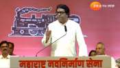 Raj Thackeray : माझ्या अयोध्या दौऱ्याच्या विरोधाची रसद महाराष्ट्रातून पुरवली गेली - राज ठाकरे  