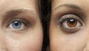 काहींचे डोळे तपकिरी तर काहींचे निळे का असतात? डोळ्याच्या रंगामागचे संपूर्ण सायन्स समजून घ्या