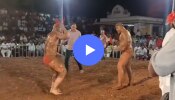 Kusti Viral Video: कुस्ती परंपरेला गालबोट, माऊली कोकाटेचा राडा; सामन्याच्या अंतिम क्षणी काय घडलं?