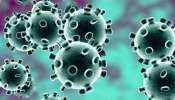 Coronavirus : तीन कोरोना रुग्णांचा मृत्यू तर महाराष्ट्रात रुग्णांचा आकडा वाढला