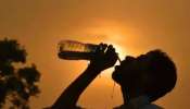 Heat Wave : राज्यात चौथ्यांदा उष्णतेच्या लाटेचा इशारा, आतापर्यंत 4 जणांचे बळी