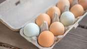 Kitchen Hacks: दीर्घकाळ अंडी ताजी ठेवण्यासाठी करा &#039;हे&#039; सोप्पे उपाय