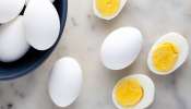 अंडं शाकाहारी की मांसाहारी? शास्त्रज्ञांनी काय दावा केलाय... वाचा