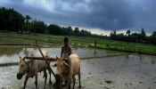 Monsoon 2024 : बळीराजासाठी आनंदाची बातमी! यंदा वरुणराजा सरासरीहून अधिक बरसणार.. IMDची माहिती