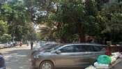 रस्त्यावर झाडांखाली कार पार्क करणाऱ्यांसाठी मोठी बातमी, मुंबई महापालिकेने घेतला &#039;हा&#039; निर्णय 