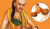 Chanakya Niti : कोंबड्याकडून शिका 4 गोष्टी, जीवनात कधीच येणार नाही अपयश 