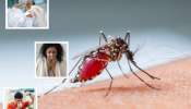 World Malaria Day 2024: &#039;या&#039; 10 लक्षणांकडे दुर्लक्ष करु नका, असू शकतो मलेरिया
