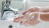 World Hand Hygiene Day 2024 : दिवसातून हात कधी आणि किती वेळा धुवायचा? 
