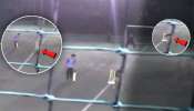 Video: क्रिकेट खेळताना गुप्तांगाला बॉल लागून पुण्यात चिमुकल्याचा मृत्यू; घटना CCTV मध्ये कैद