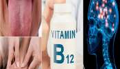 B12 व्हिटॅमिनच्या कमतेरतेमुळे गंभीर आजारांचा धोका? आहारात करा &#039;या&#039; पदार्थांचा समावेश