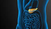 Gallbladder Problems: पित्ताशयात खडे होण्याच्या सुरुवातीला दिसतात &#039;ही&#039; लक्षणं, वेळीच उपाय करा!