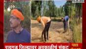 Raigad Farmers On Rice Crop Damage Form Unseasonal Rainfall