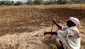 चार महिन्यात 267 शेतकऱ्यांनी संपवलं आयुष्य; निवडणुकांच्या धामधुमीत चिंता वाढवणारी आकडेवारी समोर