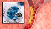 LDL cholesterol Reducing Tips : हा ब्लू चहा नसांमध्ये साचलेली घाण काढण्यास करेल मदत, एलडीएल कोलेस्ट्रॉलवर नैसर्गिक आणि घरगुती उपाय