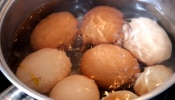 अंड उकळल्यानंतर पाणी फेकून देता? पाण्याचे फायदे जाणून घ्या 