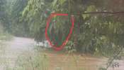 कोकणात भयानक पाऊस ! रत्नागिरीमध्ये  NDRF ची टीम दाखल; 177 नागरिकांचे स्थलांतर 