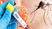 Pune News : पुणेकरांवर दुहेरी संकट! झिका व्हायरससोबत डेंग्यूचा कहर; धक्कादायक आकडेवारी समोर