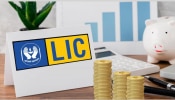 LIC च्या गुंतवणुकदारांसाठी आनंदाची बातमी! 5 दिवसांत 45000 कोटी रुपयांची कमाई
