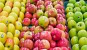 सफरचंद-संत्र्यावर स्टिकर्स का चिकटवतात? 99 टक्के लोकांना माहित नसेल यामागचं कारण