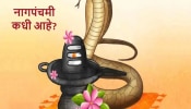 Nag Panchami 2024: नागपंचमीमधून आपली संस्कृती आपणास काय सांगते? तिथी, शुभ मुहूर्त आणि पूजा विधी जाणून घ्या 