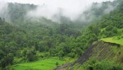 Maharashtra Weather News : आठवड्याच्या शेवटी राज्यातील कोणत्या भागांना पावसाचा तडाखा, कुठे विश्रांती? हवामान विभागाचं उत्तर पाहा... 