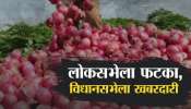 महाराष्ट्राच्या निवडणुकीत कांदा ठरणार गेम चेंजर? केंद्र सरकारच्या निर्णयाचा महायुतीला फायदा होणार? 