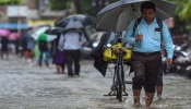 Maharashtra Rain: उद्या राज्यात कशी असेल पावसाची स्थिती? आजच जाणून घ्या हवामान खात्याचा अंदाज