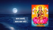 Sharad Purnima 2024 : शरद पौर्णिमेच्या दिवशी काय कराल काय टाळाल? जाणून घ्या सर्व नियम 