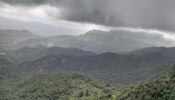 Maharashtra Weather News : ढगांचं सावट दूर लोटत राज्यभरात थंडीची चाहूल, तापमानात किती अंशांची घट? 