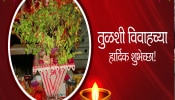 Tulsi Vivah Wishes in Marathi : तुळस लावली अंगणी...तुळशी विवाहानिमित्त नातेवाईकांना द्या खास मराठीतून शुभेच्छा