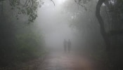 Maharashtra Weather News : देशासह राज्यात हुडहुडी; तापमानात लक्षणीय घट, आकडा पाहूनच म्हणाल, किती हा गारठा.... 