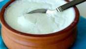 Curd In Winter: हिवाळ्यात दही खाणं कितपत योग्य? काय आहे तज्ज्ञांचे मत?