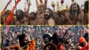 Maha Kumbh 2025: नागा साधूंना थंडी का लागत नाही? जाणून घ्या मनोरंजक उत्तर 