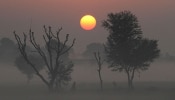 थंडीनं मारली दडी, आठवडी सुट्ट्यांच्या मुहूर्तावर कसं असेल राज्यातील हवामान? पाहा सविस्तर वृत्त 