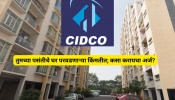 तुमच्या पसंतीचे घर परवडणाऱ्या किंमतीत ! CIDCO च्या 26 हजार घरांसाठी कुठे पाठवाल अर्ज? जाणून घ्या!