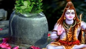 Mahashivratri 2025: महाशिवरात्रीला चुकूनही शिवलिंगावर &#039;या&#039; ५ वस्तू अर्पण करू नका, येऊ शकतात वाईट दिवस 