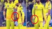 IPL 2025: &#039;CSK वर पुन्हा दोन वर्षं बंदी घाला&#039;, ऋतुराजकडून &#039;बॉल टॅम्परिंग&#039;? VIDEO तुफान व्हायरल
