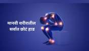 शरीराच्या &#039;या&#039; भागात सर्वात छोटं हाड; 1 इंच लांबी; डॅमेज झाल्यावर आयुष्यभर होईल पश्चाताप
