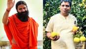 पतंजलीचं अ‍ॅग्रीकल्चर मॉडेल गावाच्या विकासात मदशीर? कसं ते जाणून घ्या...