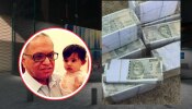 भारतातील सर्वात कमी वयाचा करोडपती? अवघ्या 17 महिन्यांच्या मुलाने कमावले 100000000 रुपये; जगभरात चर्चा!