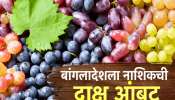  बांगलादेशच्या एका निर्णयामुळे नाशिकमधील द्राक्ष बागायतदार चिंतेत! द्राक्ष्याचे दर 50 टक्क्यांनी गडगडले  