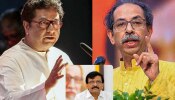 &#039;राज ठाकरेंकडून भूमिका आली असेल तर...&#039;, ठाकरे बंधू एकत्र येण्याबद्दल राऊतांनी स्पष्टच सांगितले