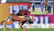 IPL वेळी मैदानात भाव खाऊन जाणरा रोबोट डॉग काय करु शकतो? कोणी बनवलाय? जाणून घ्या सर्वकाही!