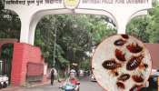 सावित्रीबाई फुले पुणे विद्यापीठातील मुलांच्या वसतिगृहात ढेकणांचा सुळसुळाट, ऐन परीक्षेच्या काळात विद्यार्थ्यांना त्रास 