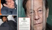 Imran Khan News: इम्रान खान यांची तुरुंगात हत्या? पाकिस्तान सरकारने काय म्हटलंय जाणून घ्या