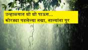  महाराष्ट्रात भयानक वातावरण! ऐन उन्हाळ्यात धो धो पाऊस, कोरड्या पडलेल्या नद्या, नाल्यांना पूर 
