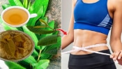 Health Tips : आठवड्यातून तीन वेळा खा &#039;या&#039; झाडांची पानं; वजन कमी करण्यापासून रोगप्रतिकारशक्ती वाढण्यास ठरते फायदेशीर 