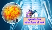 रात्री दिसतात लिवर डॅमेजची 5 लक्षणे, आताच व्हा सावधान, नाहीतर जीवावर बेतू शकतं 