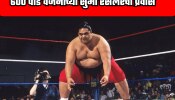 240 अंडी, 3 किलो चिकन, एक बादलीभर भात... WWE मधील सुमो रेसलरचा खुराक  